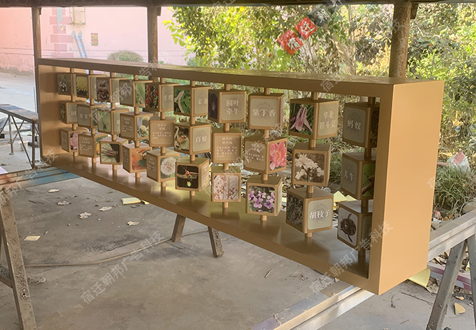 上海自然科普景墙